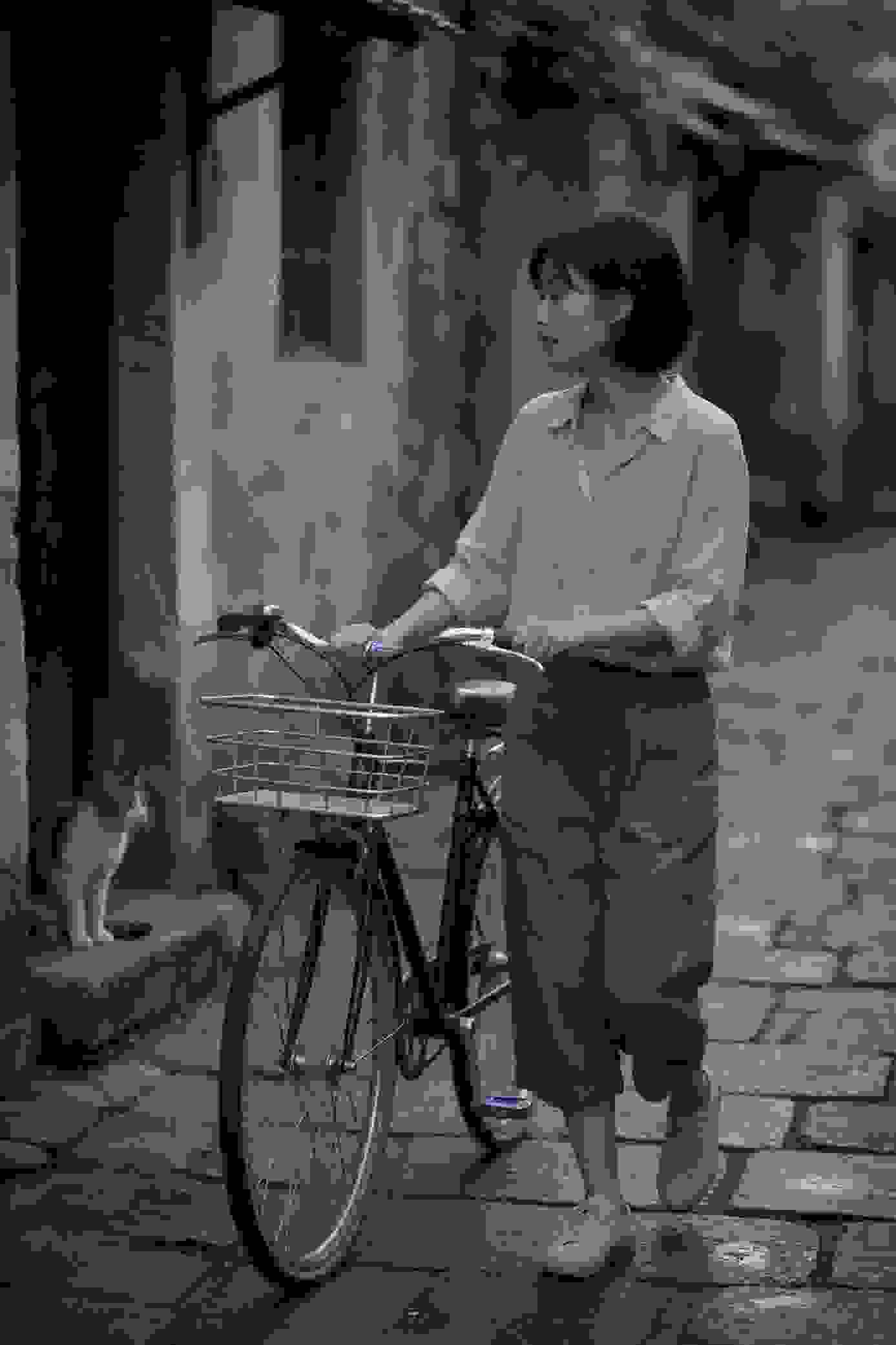 电视剧